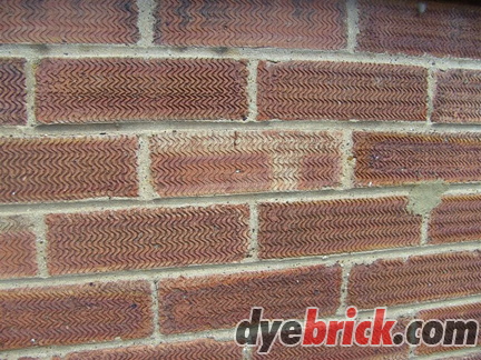 BILD4983